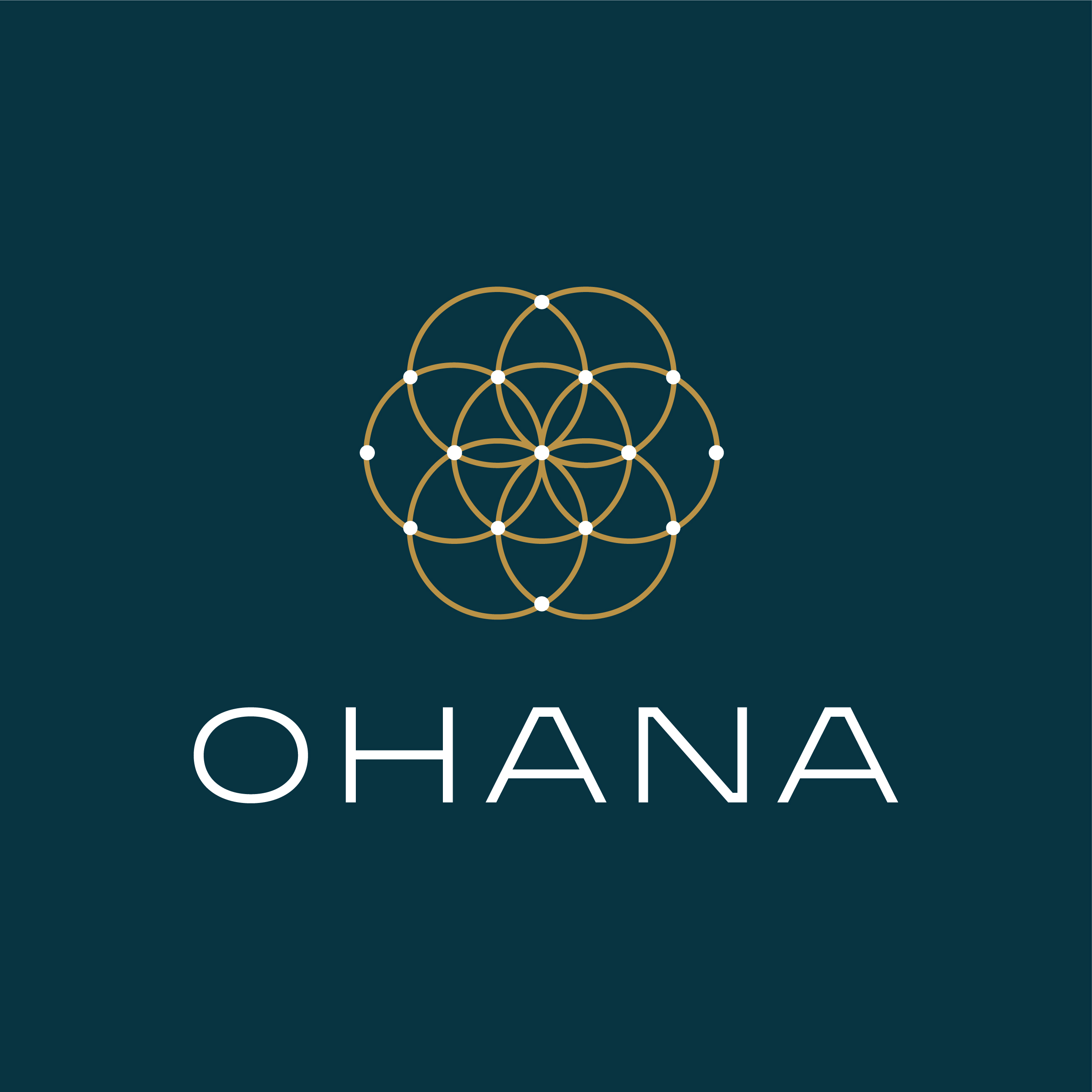 ohana logo final for tm